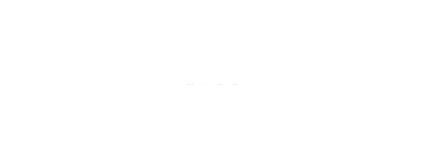 Virtus Labs